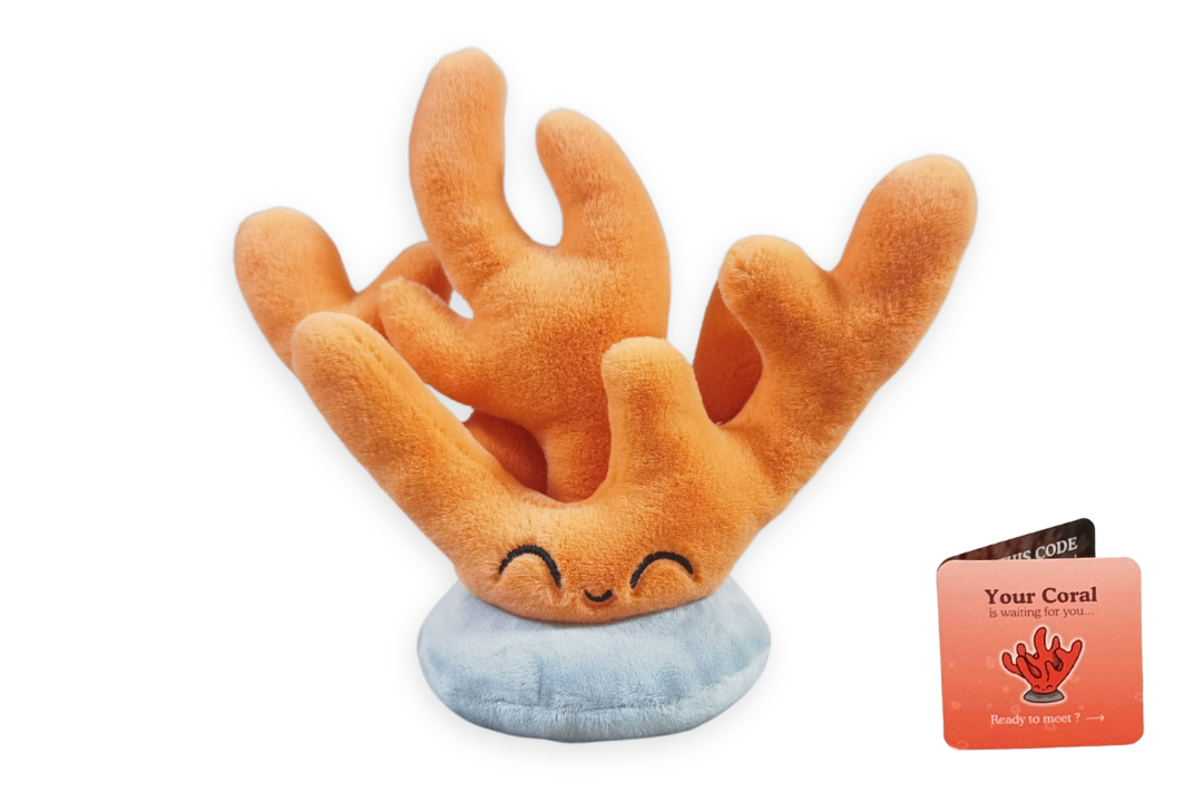 Coral Plushie