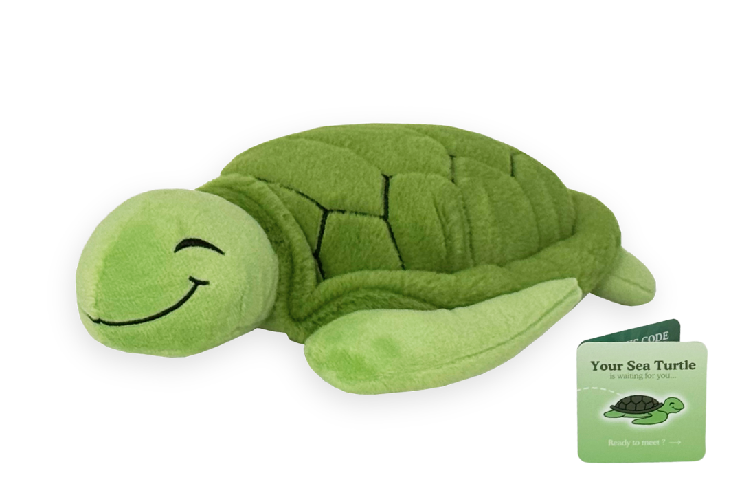 Turtle Plushie