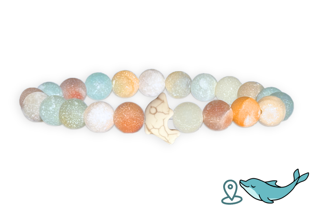 Bracelet de Suivi Dauphin