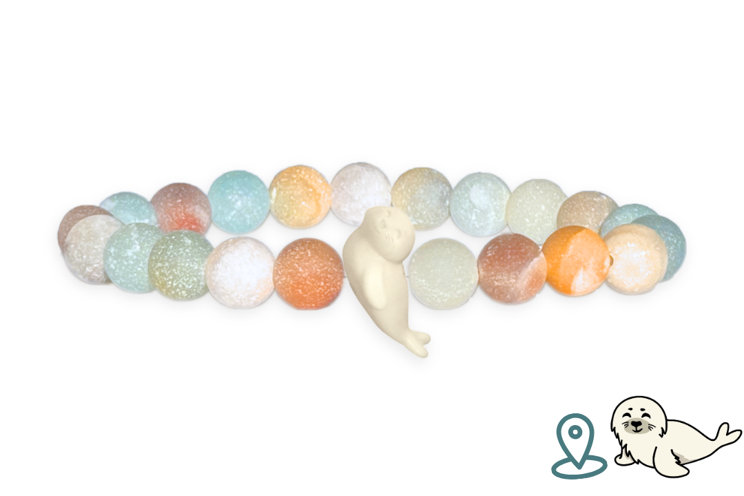 Seal Tracking Bracelet