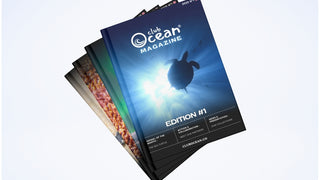 ClubOcean Magazine