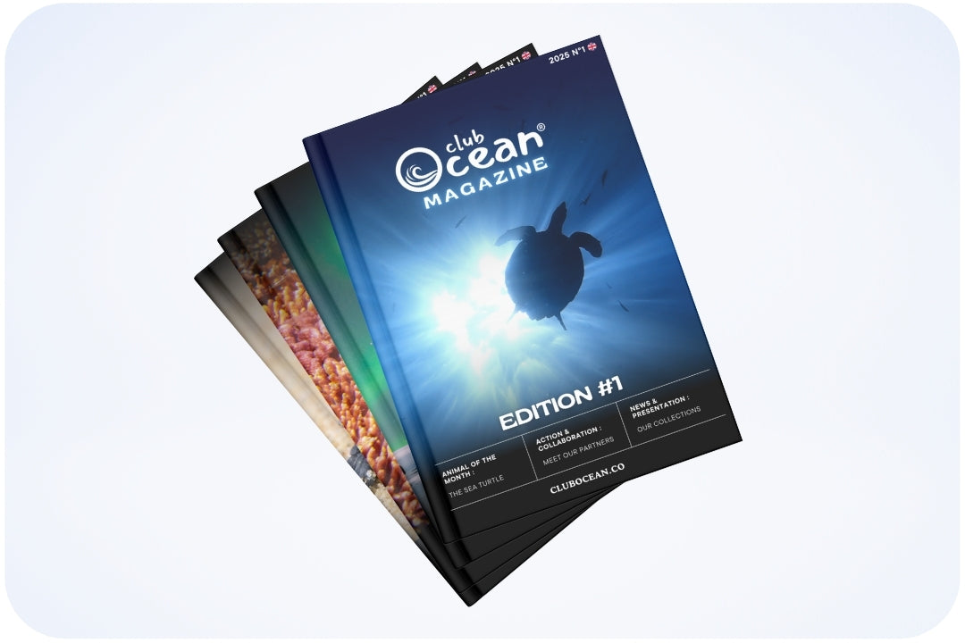 ClubOcean Magazin