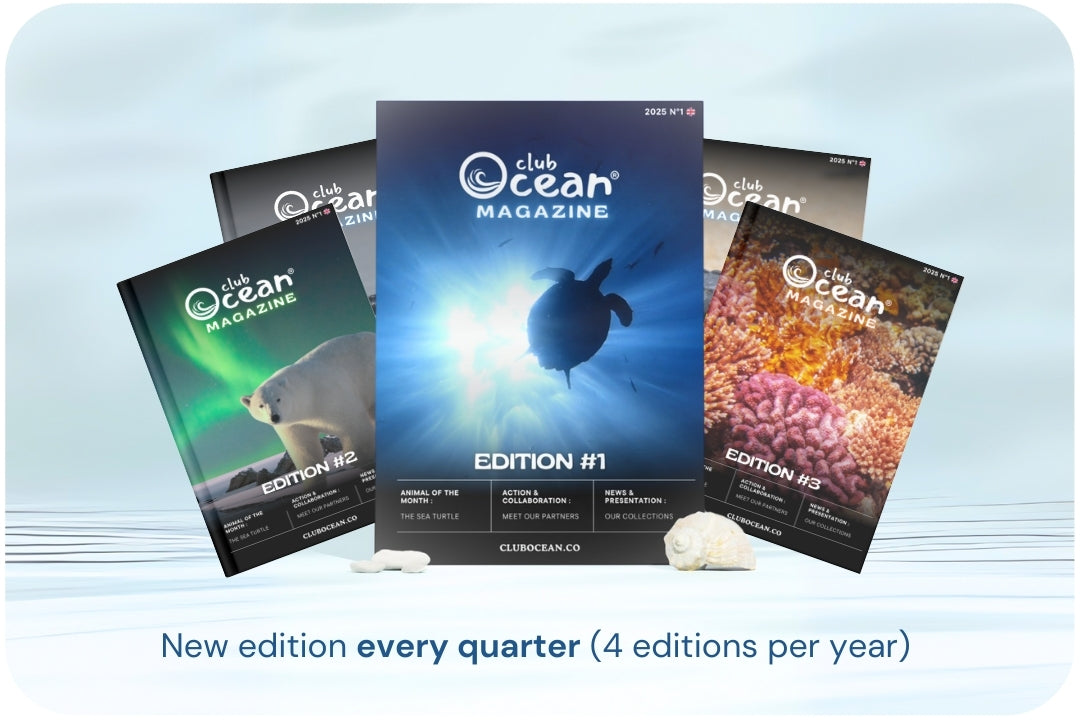 ClubOcean Magazin