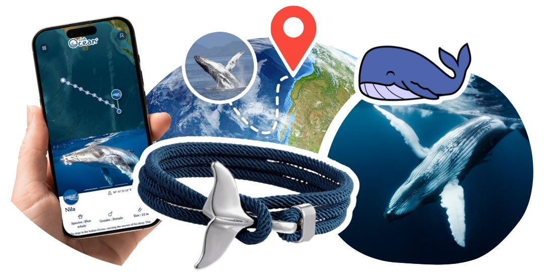 Wal-Tracking-Armband