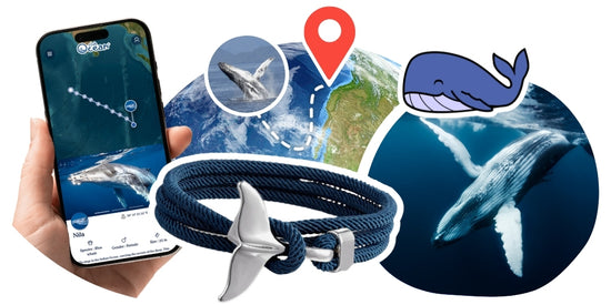 Wal-Tracking-Armband