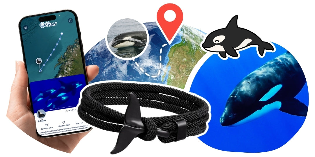 Orca Tracking Bracelet