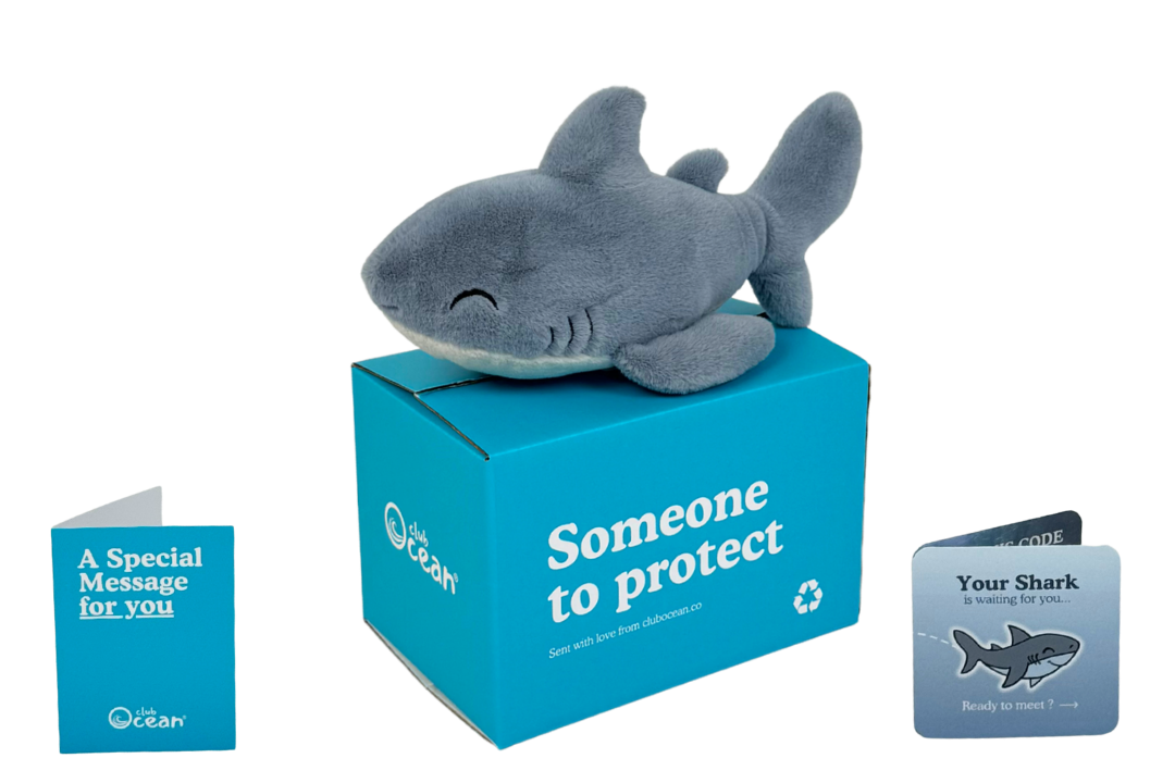 Shark Plushie