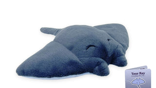 Ray Adoption Plushie