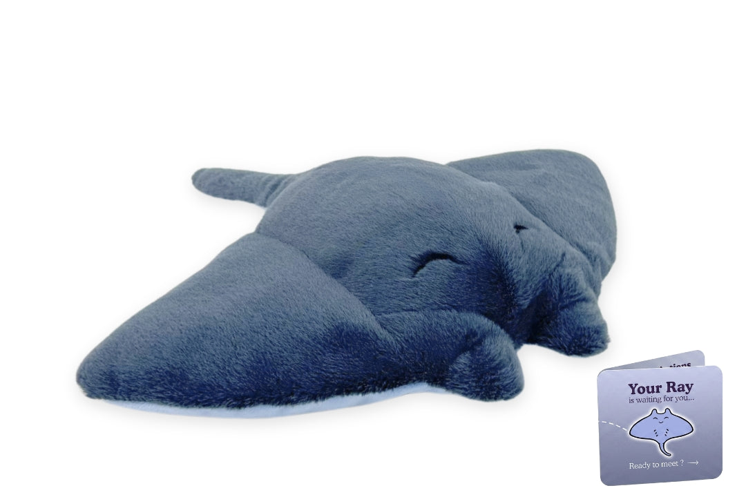 Ray Adoption Plushie