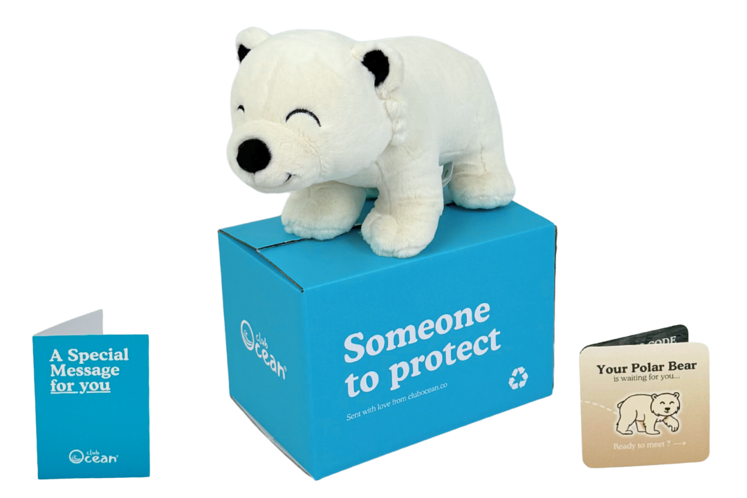 Peluche Oso Polar