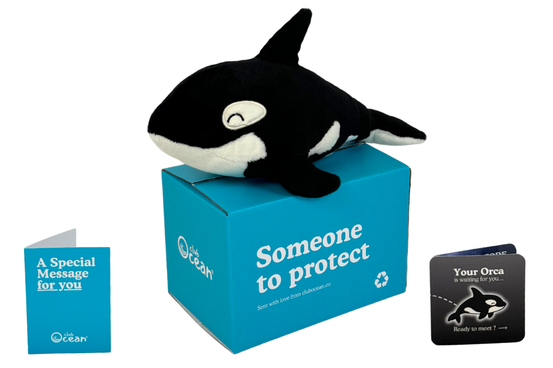 Orca Plushie