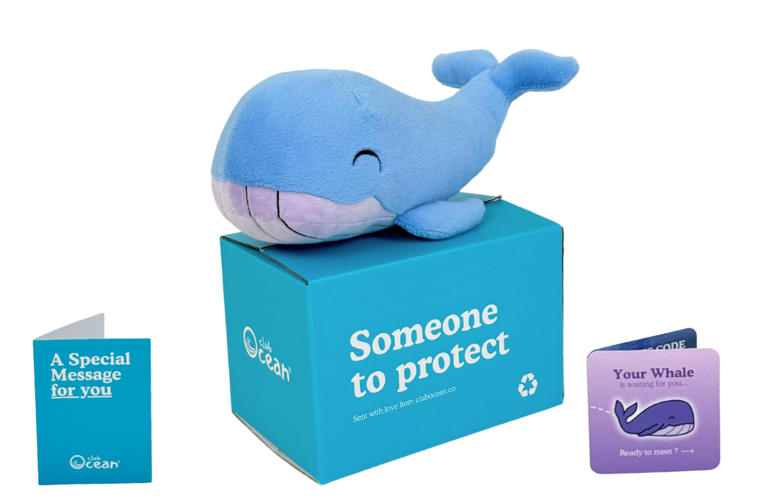 Peluche Ballena