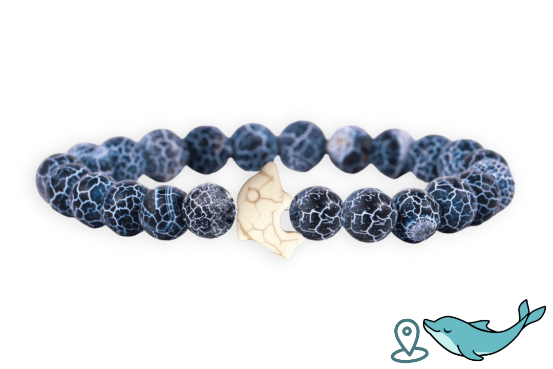 Bracelet de Suivi Dauphin