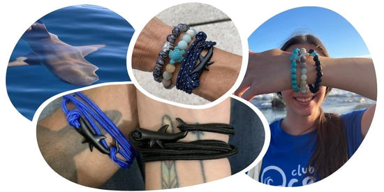 Hai-Tracking-Armband