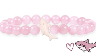 Shark Tracking Bracelet