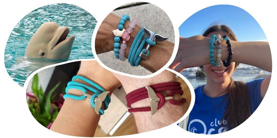 Wal-Tracking-Armband