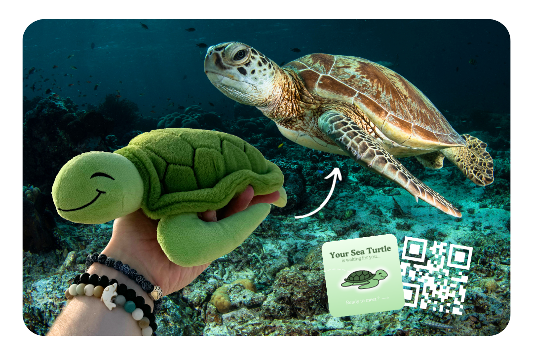 Turtle Plushie