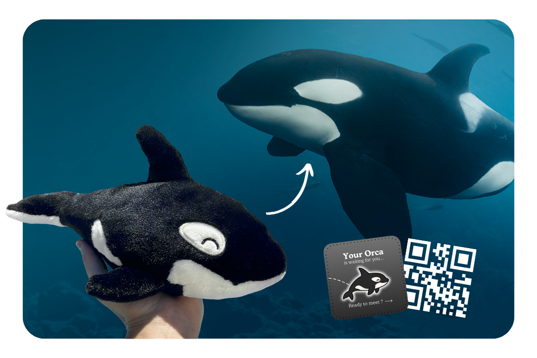 Orca Adoption Plushie