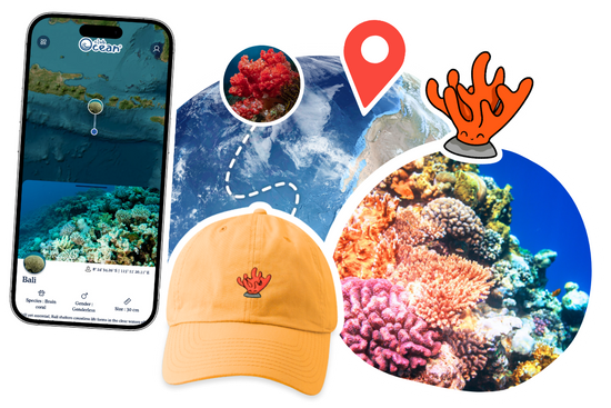 Coral Adoption Cap – ClubOcean