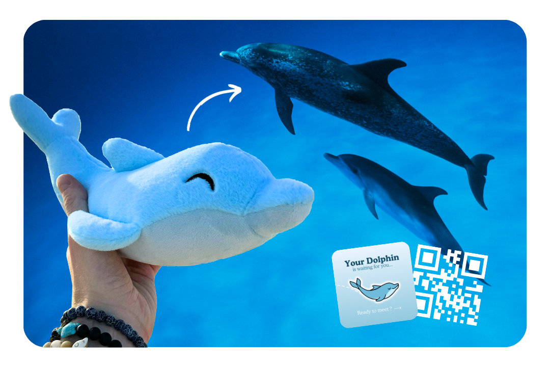 Dolphin Plushie