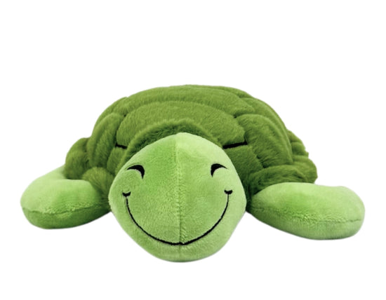 Peluche Tortue