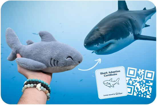 Hai Adoptionsplüschtier