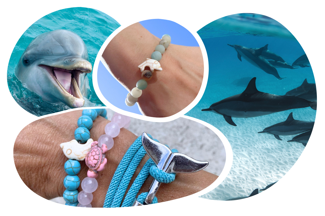 Bracelet de Suivi Dauphin