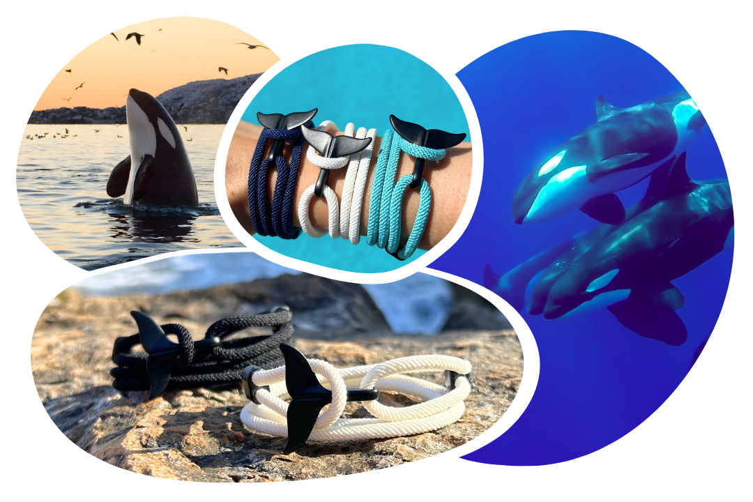 Bracelet de Suivi Orque
