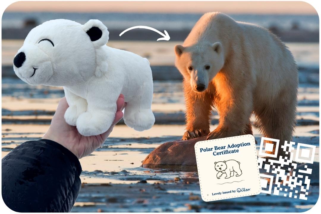 Eisbär-Adoptionsplüschtier