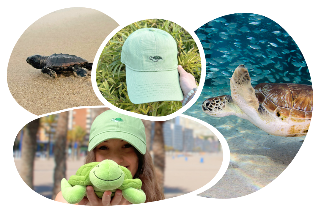 Gorra de adopción de tortuga
