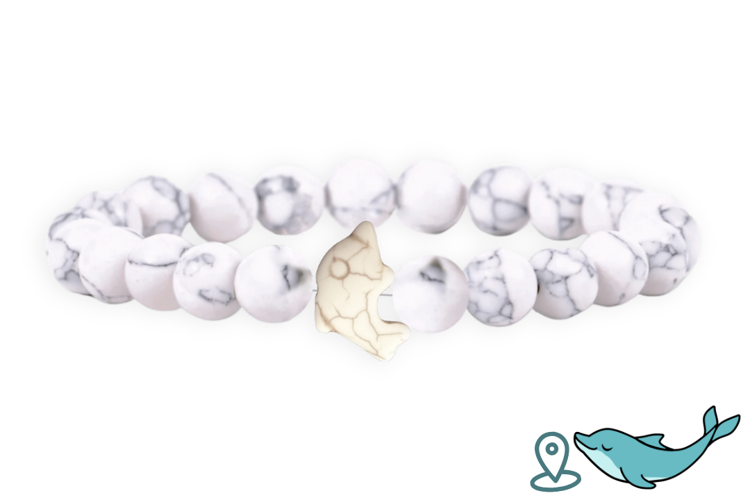 Bracelet de Suivi Dauphin