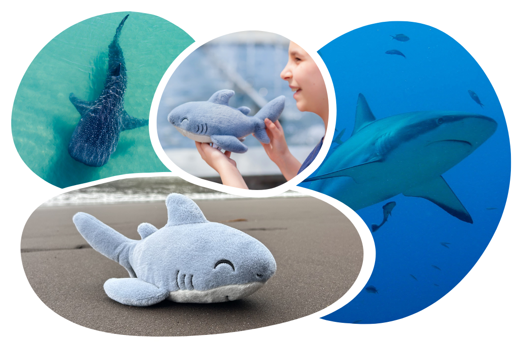 Shark Plushie
