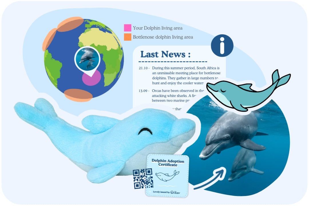 Delphin Adoption Plüschtier