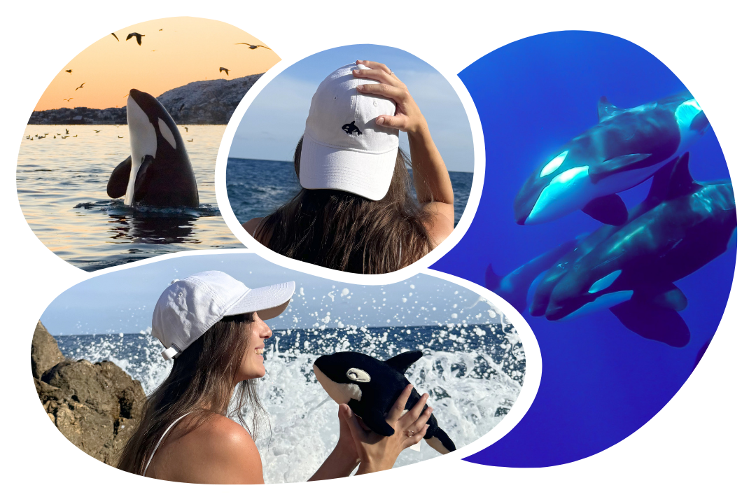Casquette d'Adoption Orque