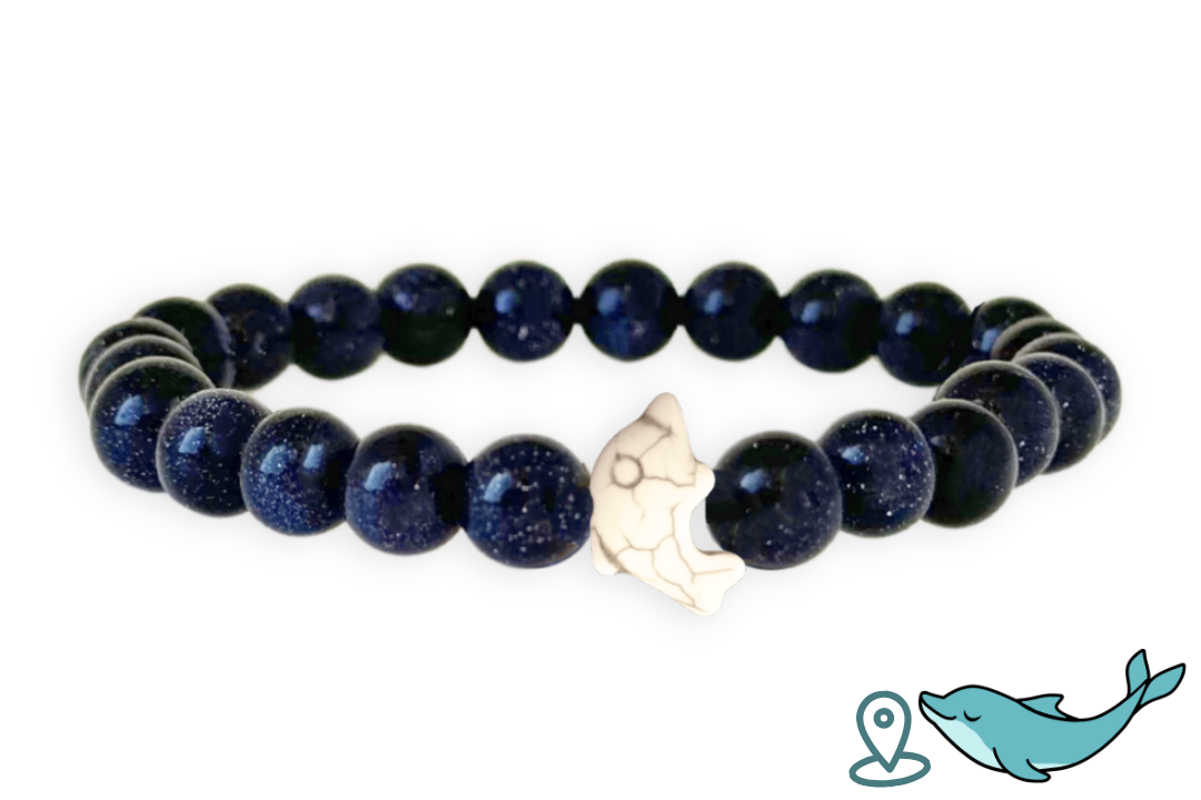 Bracelet de Suivi Dauphin