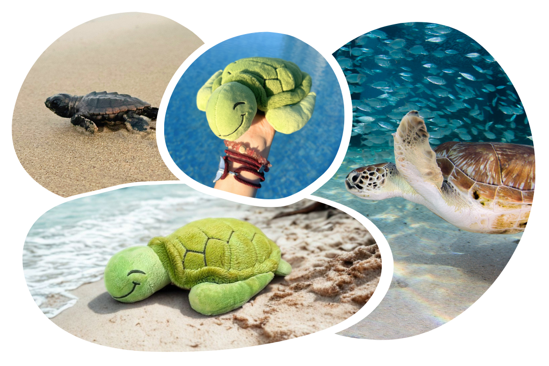 Turtle Plushie