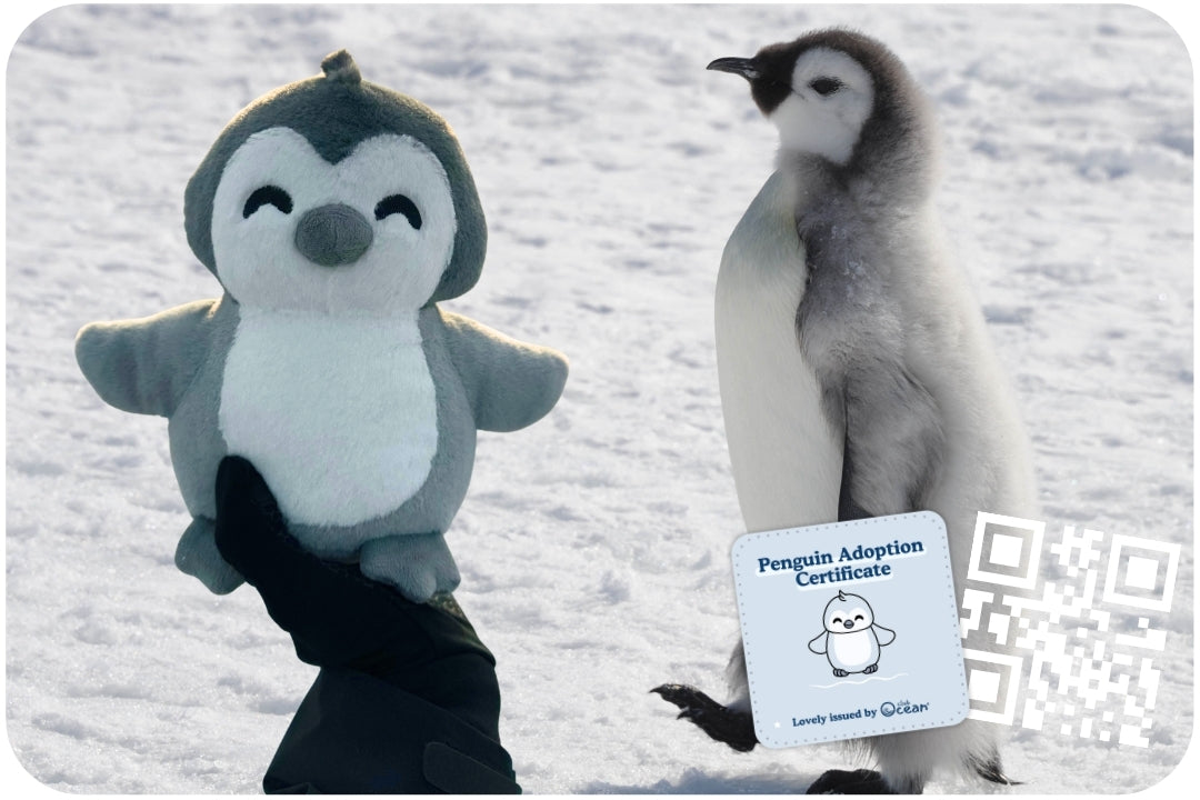 Pinguin-Adoptionsplüschtier