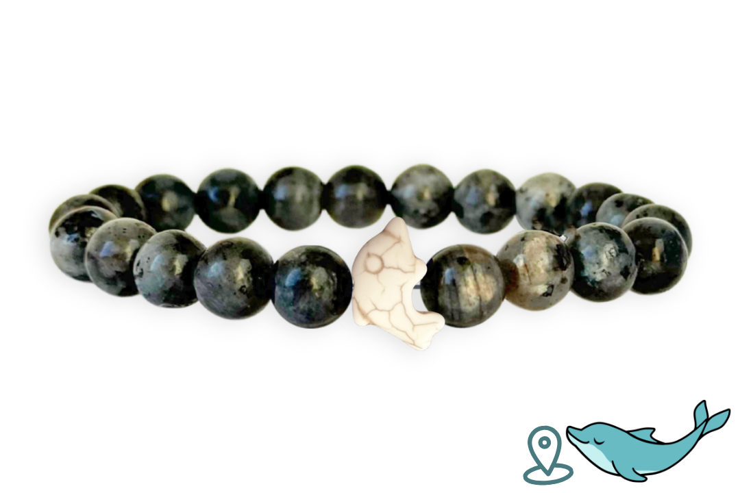 Bracelet de Suivi Dauphin