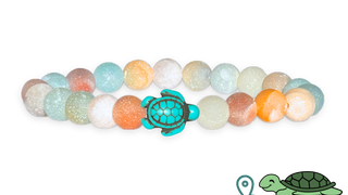 Turtle Tracking Bracelet