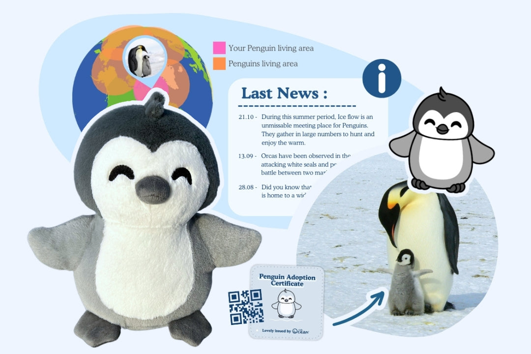 Pinguin-Adoptionsplüschtier