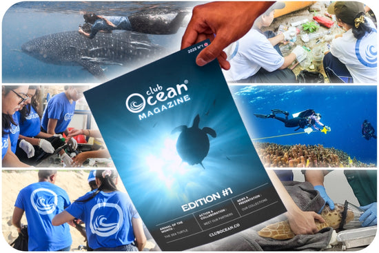 ClubOcean Magazin
