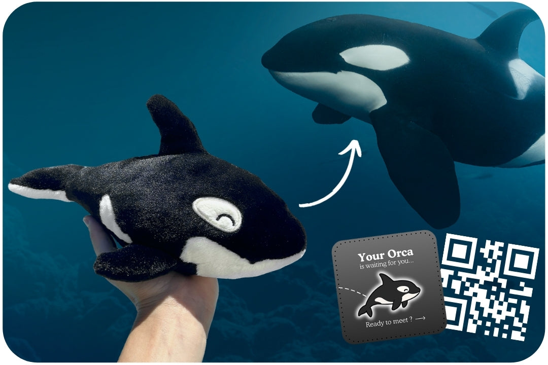 Orca Adoption Plushie
