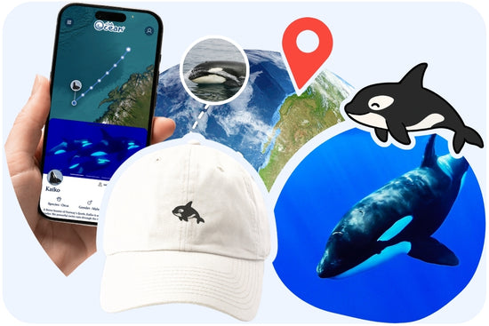 Orca Adoptionsmütze