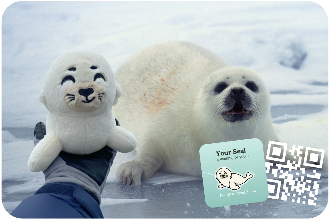 Seal Adoption Plushie