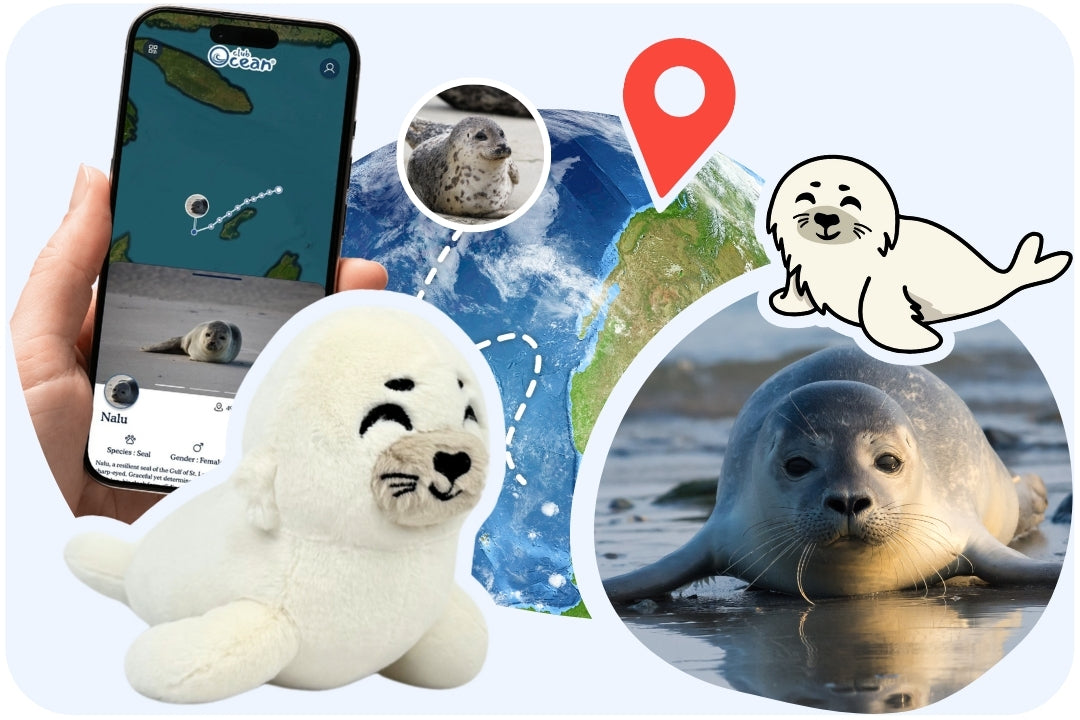 Seal Adoption Plushie