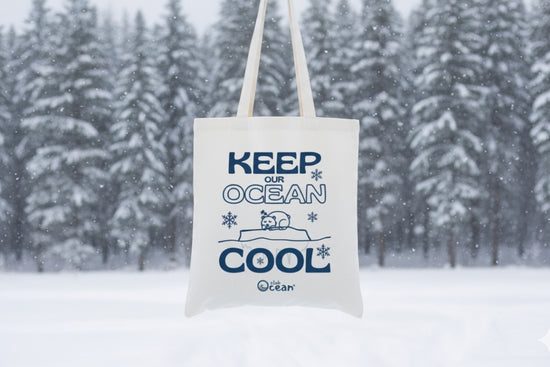 Bolsa ecológica de invierno
