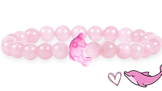 Dolphin Tracking Bracelet