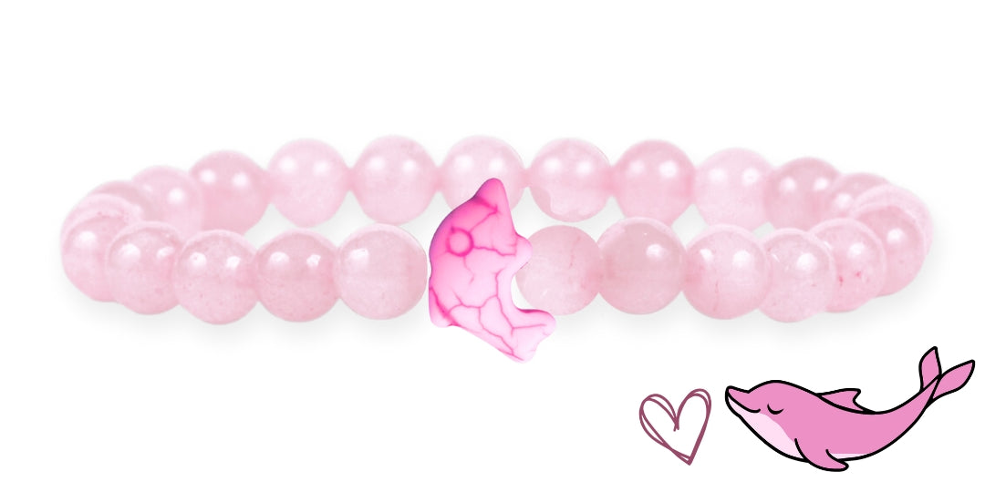 Pulsera de seguimiento de delfines