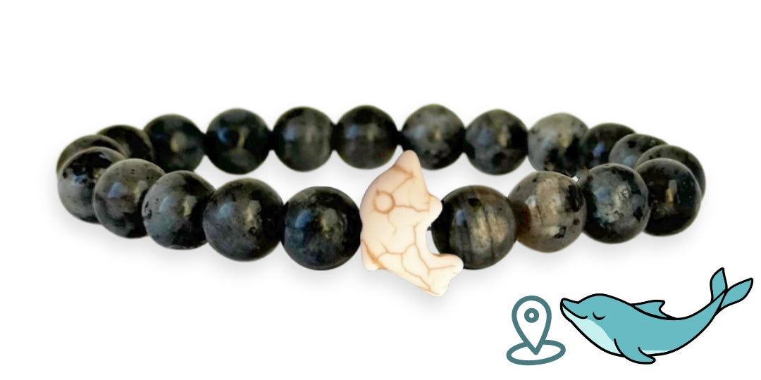 Bracciale con tracciamento dei delfini