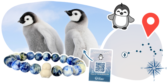 Pinguin-Tracking-Armband